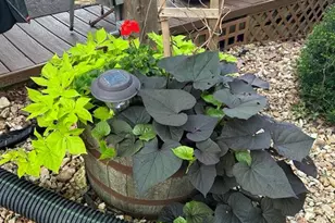 919 Lakeshore Dr, Cuba, MO 65453 - Photo 68