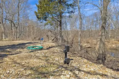 14881 State Highway Aa, Potosi, MO 63664 - Photo 60