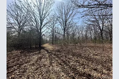 2441 N Highway 19, Salem, MO 65560 - Photo 42