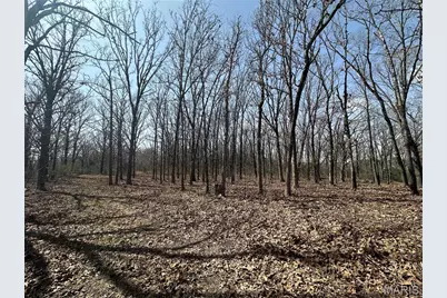 2441 N Highway 19, Salem, MO 65560 - Photo 48