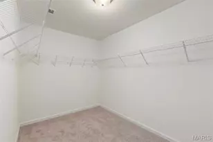 43 Fairmount Grv Dr, Saint Peters, MO 63376 - Photo 22