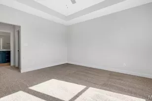 149 Hvn Rdg Ct, Dardenne Prairie, MO 63368 - Photo 28