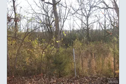 4 Easton Street, De Soto, MO 63020 - Photo 1