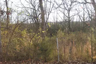 4 Easton St, De Soto, MO 63020 - Photo 1