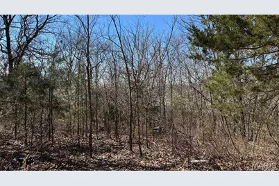 0 Holiday Shores Drive, Bismarck, MO 63624 - Photo 4