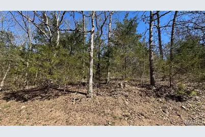 0 Holiday Shores Drive, Bismarck, MO 63624 - Photo 12