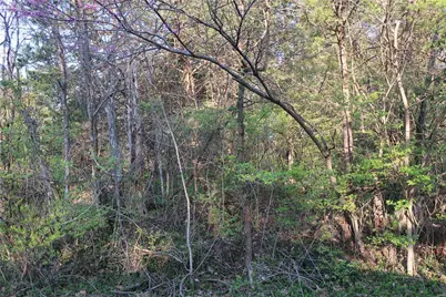 [Address not provided], Cedar Hill, MO 63016 - Photo 4