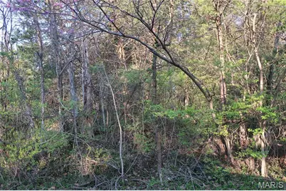[Address not provided], Cedar Hill, MO 63016 - Photo 4