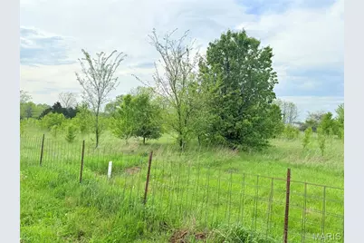16111 Brendon Drive, Farmington, MO 63640 - Photo 22