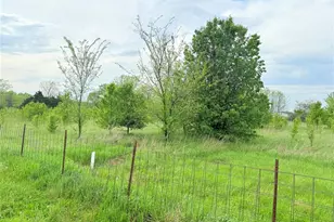 16111 Brendon Dr, Farmington, MO 63640 - Photo 22