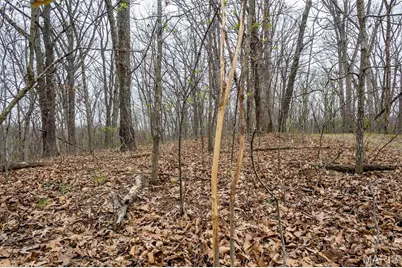 0 Pike 224, Eolia, MO 63344 - Photo 34