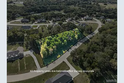 163 Scarlet Oak Loop (Lot 37), Villa Ridge, MO 63089 - Photo 4