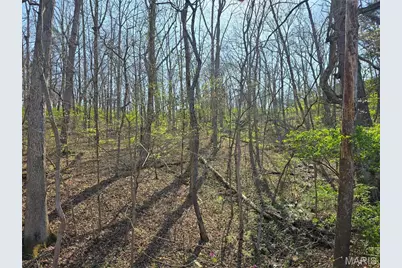 6518 S Lakeshore Drive, Hillsboro, MO 63050 - Photo 28