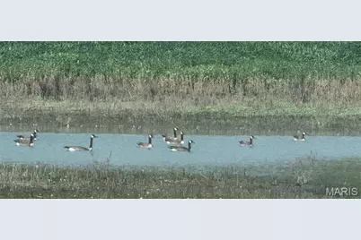 209 Pike 209, Ellisville, MO 63336 - Photo 6