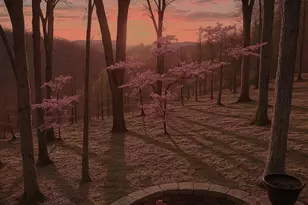 577 Schluersburg Rd, Augusta, MO 63332 - Photo 78