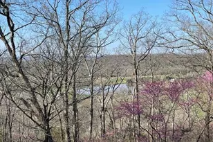 577 Schluersburg Rd, Augusta, MO 63332 - Photo 12