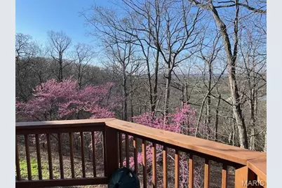 577 Schluersburg Road, Augusta, MO 63332 - Photo 8