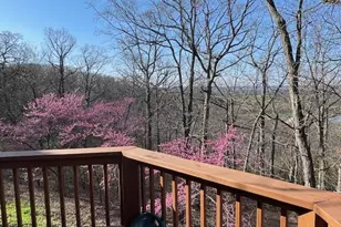 577 Schluersburg Rd, Augusta, MO 63332 - Photo 8