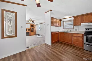 124 New Hope Rd, Elsberry, MO 63343 - Photo 12