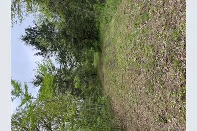 12711 Dude Lane, Fletcher, MO 63030 - Photo 4