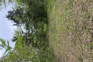 12711 Dude Ln, Fletcher, MO 63030 - Photo 4