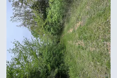 12711 Dude Lane, Fletcher, MO 63030 - Photo 6