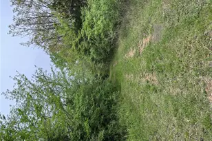 12711 Dude Ln, Fletcher, MO 63030 - Photo 6