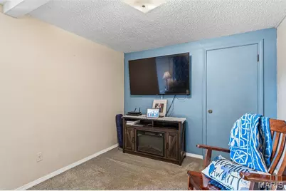 310 N McCune, Pilot Knob, MO 63663 - Photo 54