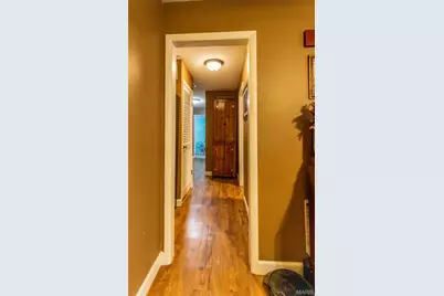 211 E Elm, Bertrand, MO 63823 - Photo 14