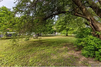 211 E Elm, Bertrand, MO 63823 - Photo 34