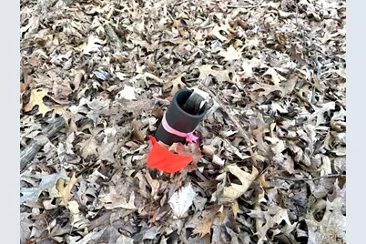 1513 Wolf Trail Road, Wildwood, MO 63021 - Photo 10