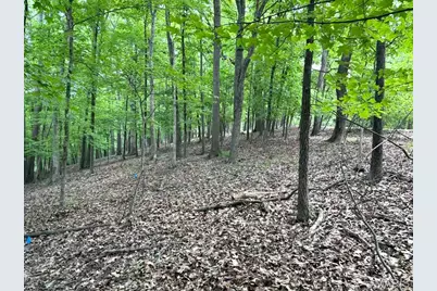 1513 Wolf Trail Road, Wildwood, MO 63021 - Photo 2