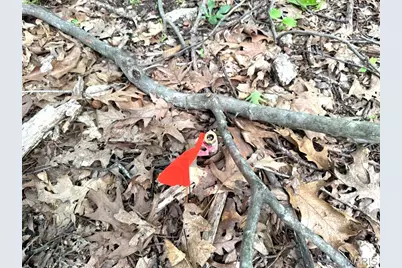 1513 Wolf Trail Road, Wildwood, MO 63021 - Photo 8