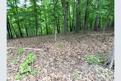 1513 Wolf Trail Road, Wildwood, MO 63021 - Photo 6