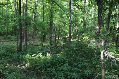 291 Highway O, Poplar Bluff, MO 63967 - Photo 34