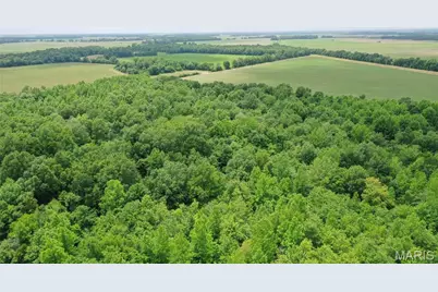 67 County Road 352, Neelyville, MO 63954 - Photo 10