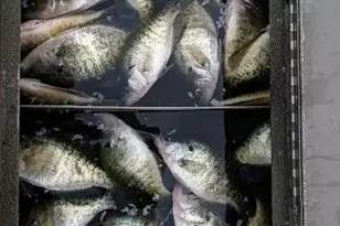 14980 N Orleans, Stockton, MO 65785 - Photo 32