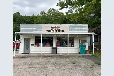 305 Pine Street, Shelbyville, MO 65565 - Photo 1