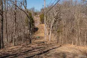 615 Corisande Hill Rd, Fenton, MO 63026 - Photo 22