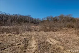 615 Corisande Hill Rd, Fenton, MO 63026 - Photo 6