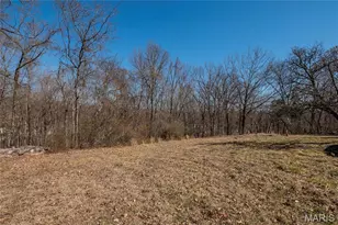 615 Corisande Hill Rd, Fenton, MO 63026 - Photo 28