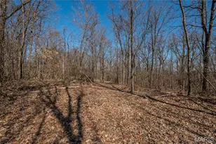 615 Corisande Hill Rd, Fenton, MO 63026 - Photo 16