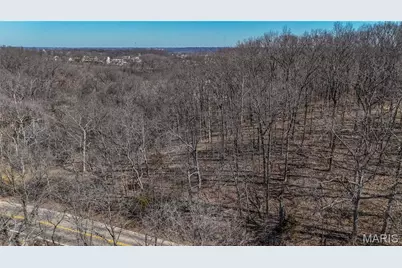 615 Corisande Hill Road, Fenton, MO 63026 - Photo 44