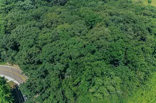 615 Corisande Hill Rd, Fenton, MO 63026 - Photo 60