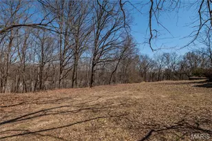 615 Corisande Hill Rd, Fenton, MO 63026 - Photo 30