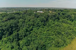 615 Corisande Hill Rd, Fenton, MO 63026 - Photo 52