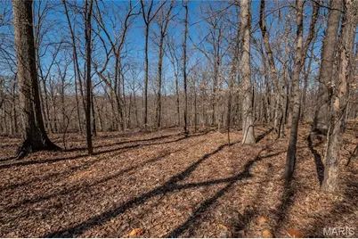 615 Corisande Hill Road, Fenton, MO 63026 - Photo 24
