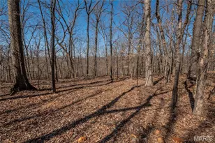 615 Corisande Hill Rd, Fenton, MO 63026 - Photo 24