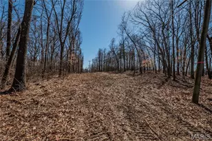 615 Corisande Hill Rd, Fenton, MO 63026 - Photo 20