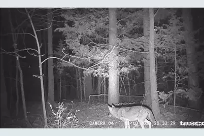 161 Cobblestone Road, Shelbyville, MO 65565 - Photo 44